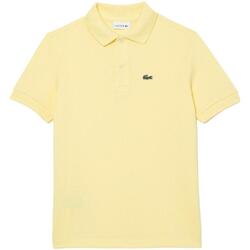 Odjeća Dječak
 Majice kratkih rukava Lacoste  žuta