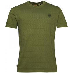 Odjeća Muškarci
 Majice / Polo majice Superdry Vintage texture Zelena