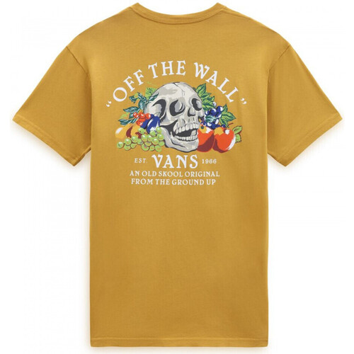 Odjeća Muškarci
 Majice / Polo majice Vans Ground up ss tee Narančasta
