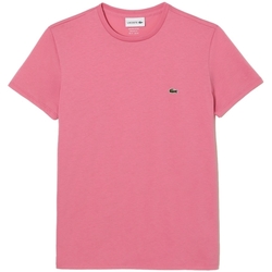 Odjeća Muškarci
 Majice / Polo majice Lacoste Pima Cotton T-Shirt - Rose Ružičasta