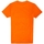 Odjeća Muškarci
 Majice / Polo majice Ellesse ECRILLO TEE Narančasta