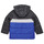 Odjeća Dječak
 Pernate jakne Adidas Sportswear JB CB PAD JKT Crna