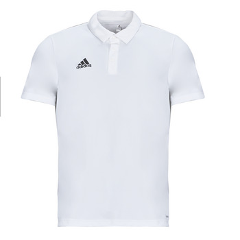 Odjeća Muškarci
 Polo majice kratkih rukava adidas Performance ENT22 POLO Bijela
