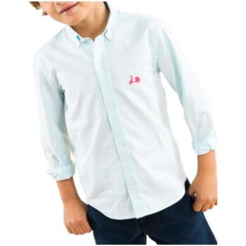 Odjeća Dječak
 Košulje dugih rukava Scotta  Zelena