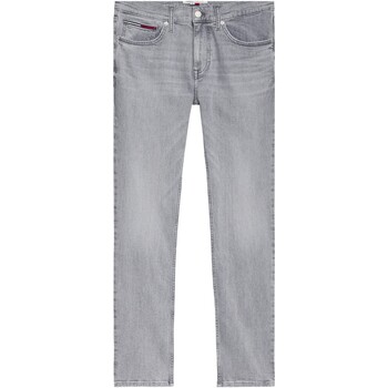 Odjeća Muškarci
 Hlače Tommy Jeans VAQUERO SLIM HOMBRE   DM0DM12663-1BZ Siva