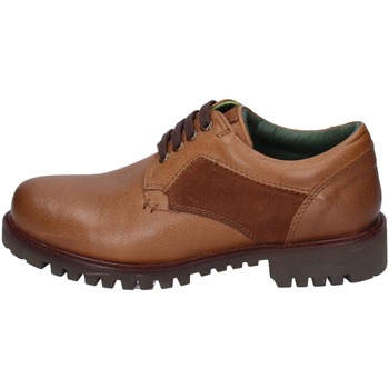 Obuća Muškarci
 Derby cipele & Oksfordice Studio Mode BC226 1204 Smeđa