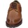 Obuća Muškarci
 Derby cipele & Oksfordice Studio Mode BC226 1204 Smeđa