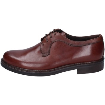 Obuća Muškarci
 Derby cipele & Oksfordice Bruno Verri BC269 Smeđa