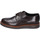 Obuća Muškarci
 Derby cipele & Oksfordice Bruno Verri BC292 Smeđa