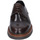 Obuća Muškarci
 Derby cipele & Oksfordice Bruno Verri BC292 Smeđa