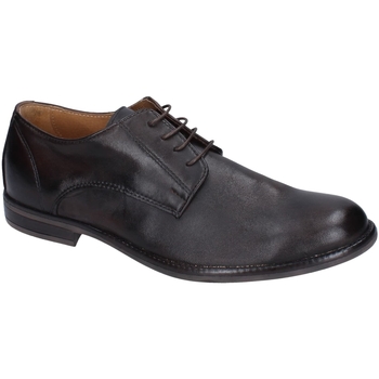 Obuća Muškarci
 Derby cipele & Oksfordice Bruno Verri BC338 Smeđa