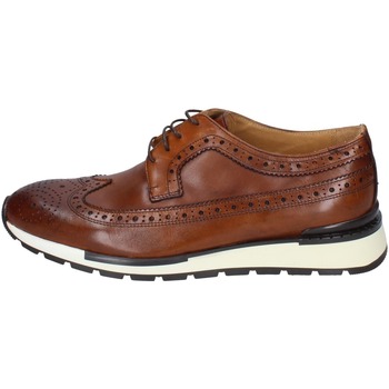 Obuća Muškarci
 Derby cipele & Oksfordice Bruno Verri BC527 Smeđa