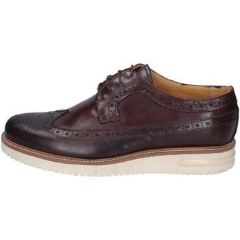 Obuća Muškarci
 Derby cipele & Oksfordice Bruno Verri BC528 Smeđa