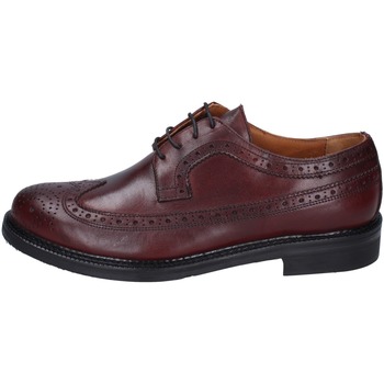 Obuća Muškarci
 Derby cipele & Oksfordice Bruno Verri BC529 Bordo