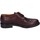 Obuća Muškarci
 Derby cipele & Oksfordice Bruno Verri BC529 Bordo