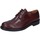 Obuća Muškarci
 Derby cipele & Oksfordice Bruno Verri BC529 Bordo