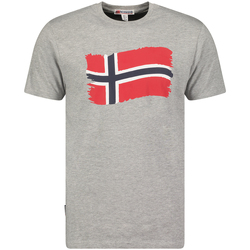 Odjeća Muškarci
 Majice kratkih rukava Geographical Norway SX1078HGN-BLENDED GREY Siva