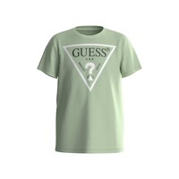 Odjeća Dječak
 Majice kratkih rukava Guess SHIRT CORE Zelena