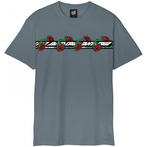 Odjeća Muškarci
 Majice / Polo majice Santa Cruz Dressen roses ever-slick Siva
