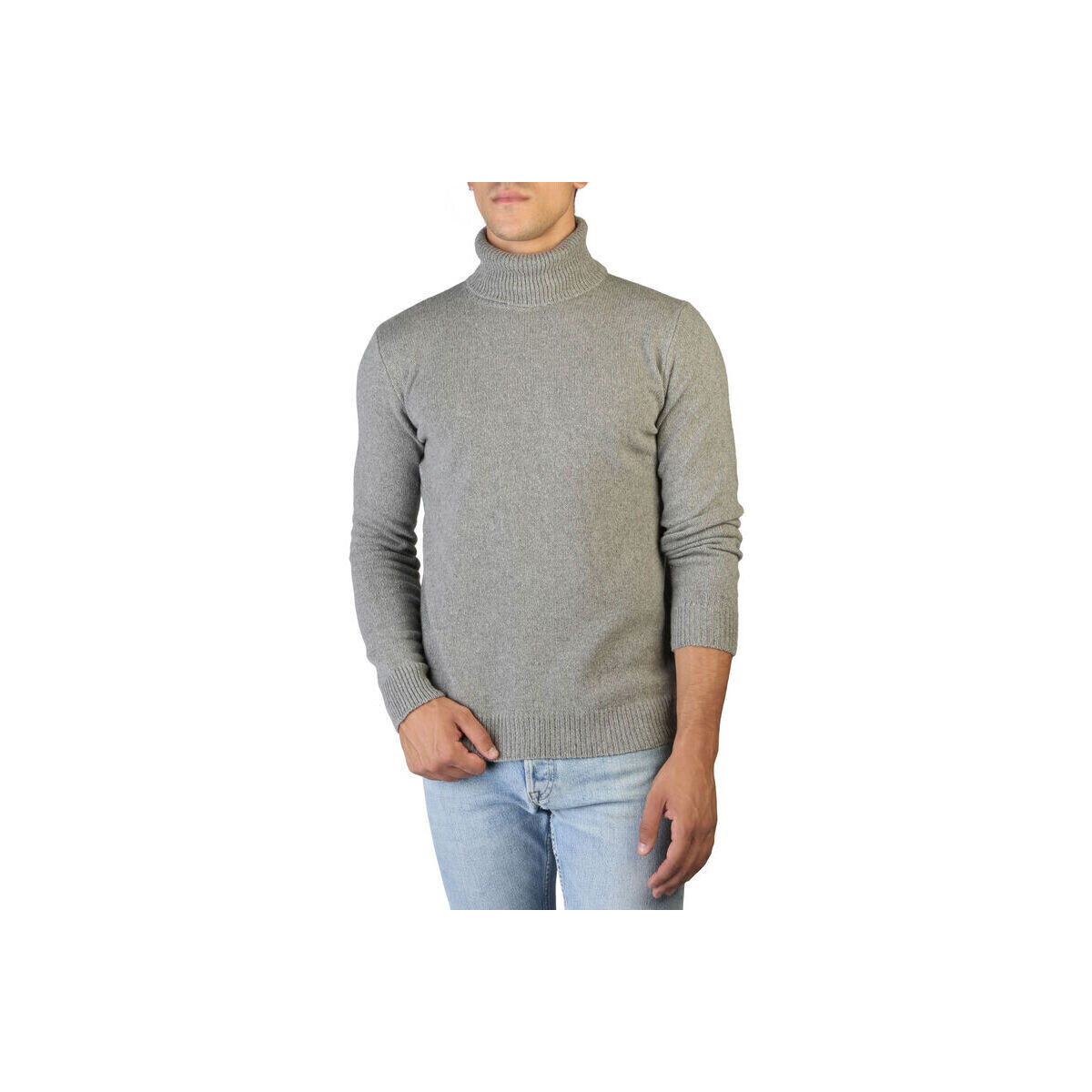 Odjeća Muškarci
 Puloveri 100% Cashmere Jersey roll neck Siva