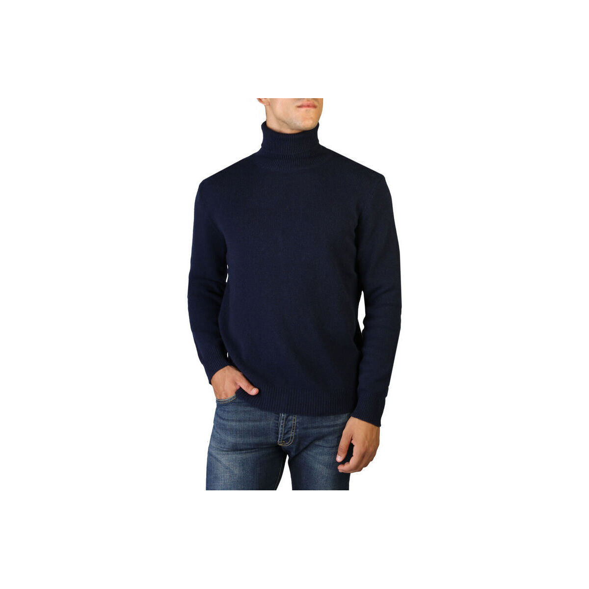 Odjeća Muškarci
 Puloveri 100% Cashmere Jersey roll neck Plava