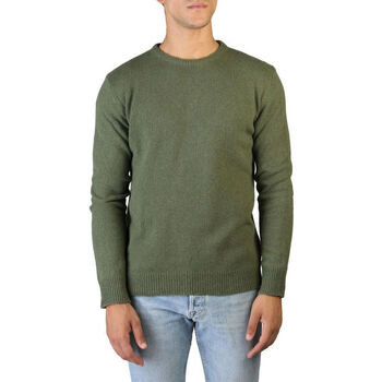 Odjeća Muškarci
 Puloveri 100% Cashmere Jersey Zelena