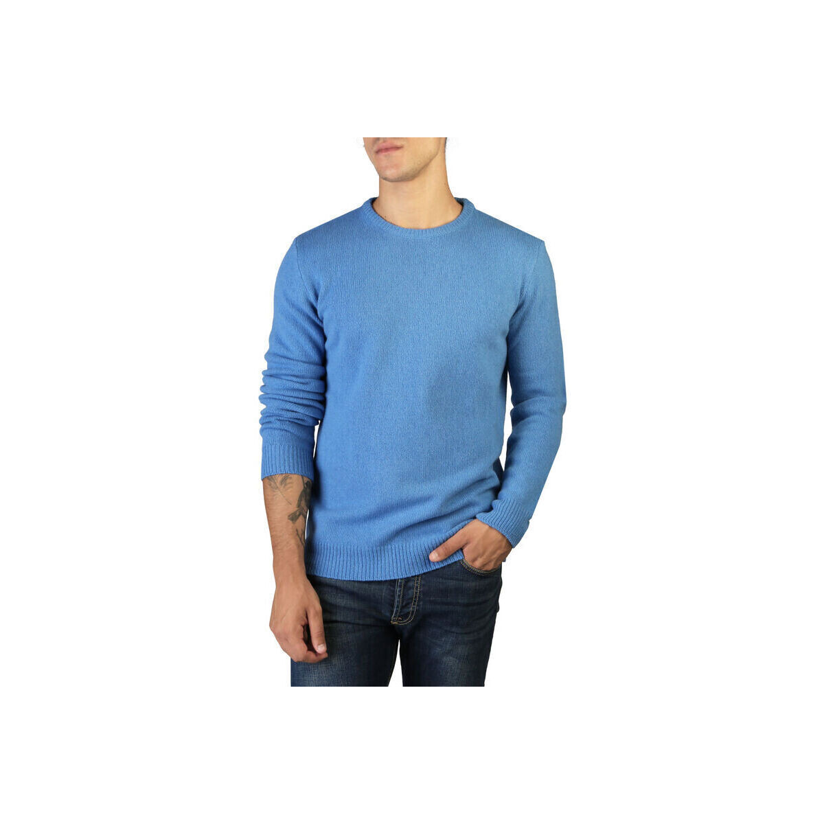 Odjeća Muškarci
 Puloveri 100% Cashmere Jersey Plava