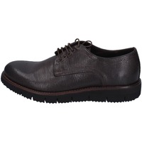 Obuća Muškarci
 Derby cipele & Oksfordice Eveet EZ207 Smeđa