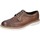 Obuća Muškarci
 Derby cipele & Oksfordice Eveet EZ245 Smeđa
