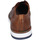 Obuća Muškarci
 Derby cipele & Oksfordice Eveet EZ250 Smeđa