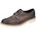 Obuća Muškarci
 Derby cipele & Oksfordice Eveet EZ309 Smeđa