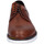 Obuća Muškarci
 Derby cipele & Oksfordice Eveet EZ320 Smeđa