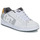 Obuća Muškarci
 Niske tenisice DC Shoes NET Bijela / Siva