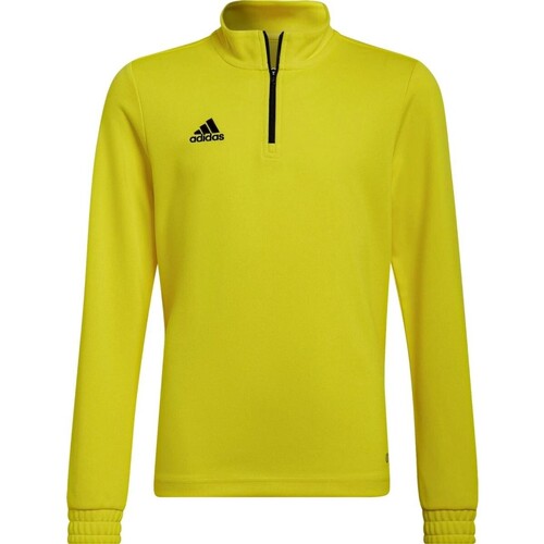 Odjeća Dječak
 Sportske majice adidas Originals SUDADERA NIO  ENTRENAMIENTO HI2133 žuta