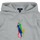 Odjeća Djeca Sportske majice Polo Ralph Lauren PO HOOD-KNIT SHIRTS-SWEATSHIRT Siva