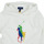 Odjeća Djeca Sportske majice Polo Ralph Lauren PO HOOD-KNIT SHIRTS-SWEATSHIRT Bijela