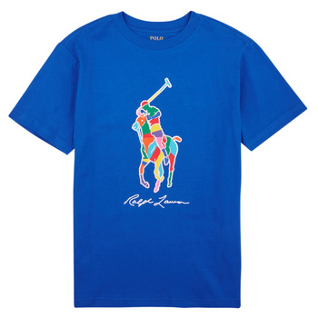 Odjeća Dječak
 Majice kratkih rukava Polo Ralph Lauren SS CN-KNIT SHIRTS-T-SHIRT Plava