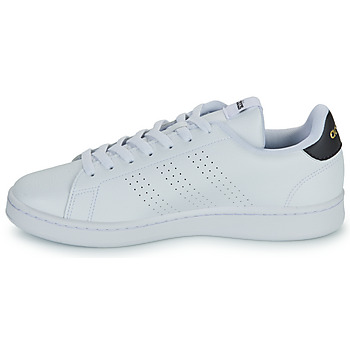 Adidas Sportswear ADVANTAGE Bijela / Boja šljive