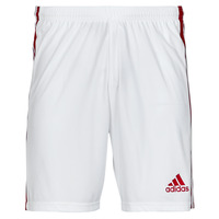 Odjeća Muškarci
 Bermude i kratke hlače adidas Performance SQUAD 21 SHO Bijela / Crvena
