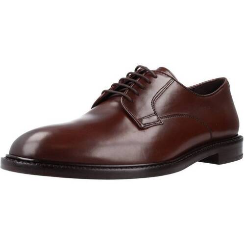 Obuća Muškarci
 Derby cipele & Oksfordice Geox U ARTENOVA E Smeđa
