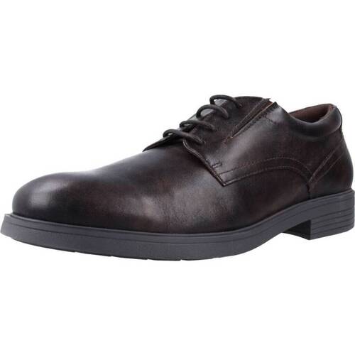 Obuća Muškarci
 Derby cipele & Oksfordice Geox U APPIANO Smeđa