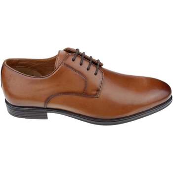 Obuća Muškarci
 Derby cipele & Oksfordice Salamander Maleno Smeđa