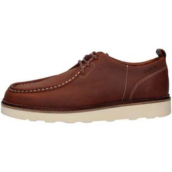 Obuća Muškarci
 Derby cipele & Oksfordice Schmoove  