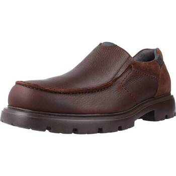 Obuća Muškarci
 Derby cipele & Oksfordice Pitillos 4930P Smeđa