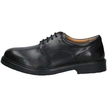 Obuća Muškarci
 Derby cipele & Oksfordice Lumberjack  