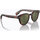 Satovi & nakit Sunčane naočale Oliver Peoples Occhiali da Sole  Cary Grant Sun OV5413SU 1454O8 Smeđa