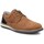 Obuća Muškarci
 Derby cipele & Oksfordice Xti 142525 Smeđa