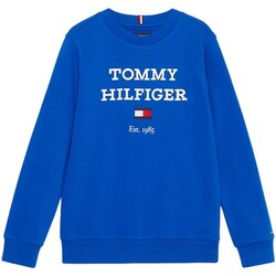 Odjeća Dječak
 Sportske majice Tommy Hilfiger KB0KB08713 Plava