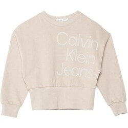 Odjeća Djevojčica Sportske majice Calvin Klein Jeans IG0IG02300 Bež