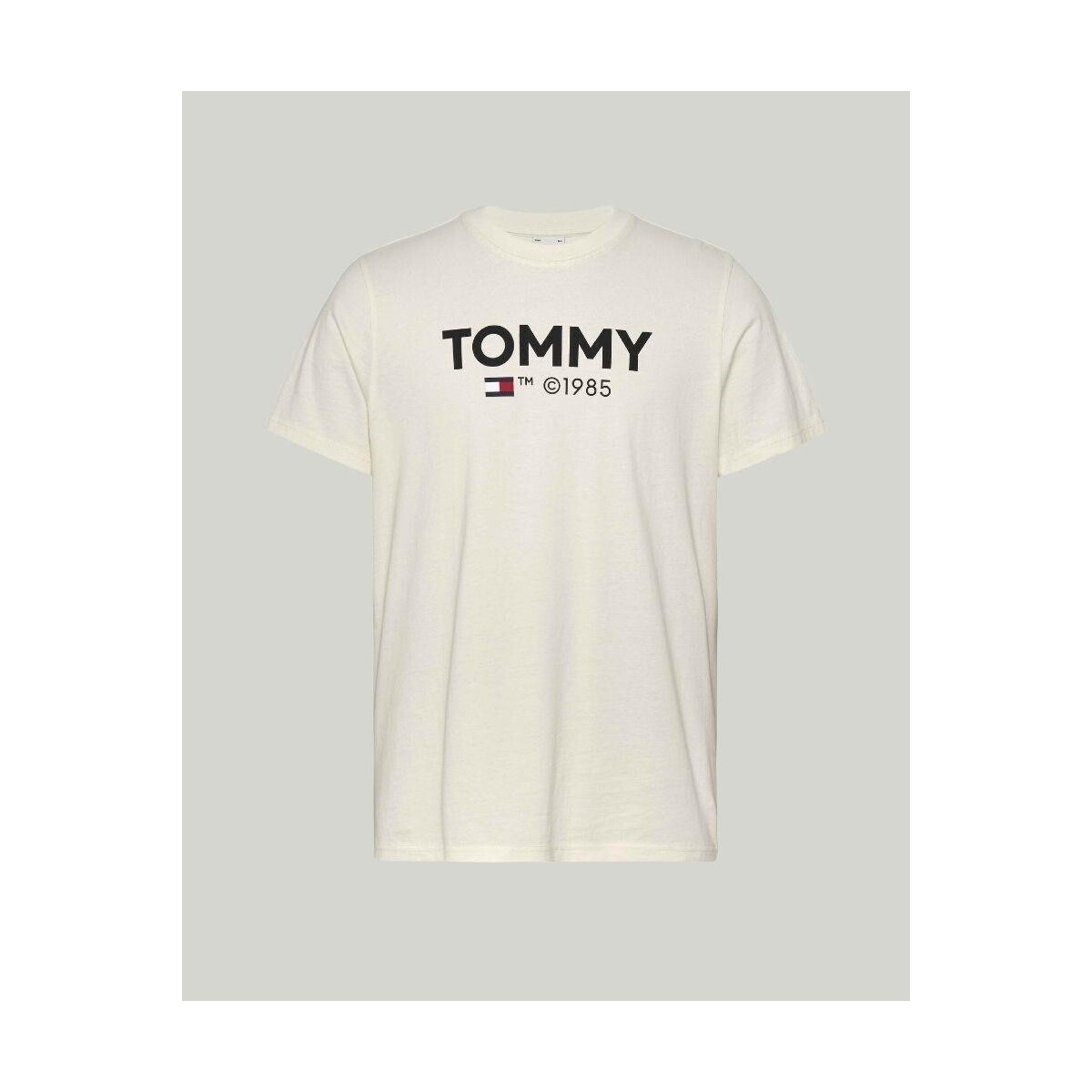 Odjeća Muškarci
 Majice kratkih rukava Tommy Hilfiger DM0DM18264YBH Bijela